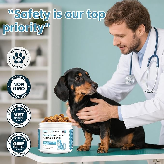 Nutrition Strength Quercetin for Dogs with Bromelain to Support Balanced Immune System, Promote Inflammatory Relief & Antioxidant Activity, Quercetin for Dog Allergies, 120 Chewable Tablets