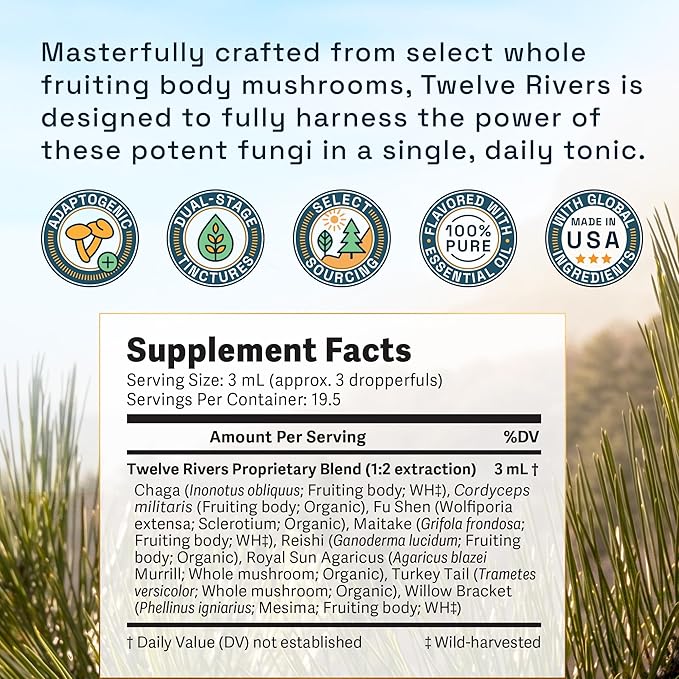 Twelve Rivers Functional Mushroom MycoMedic Elixir Tincture – 1:2 True Dual-Stage Extraction – Spiced Winter Chai – 2 Fluid Ounce Bottle