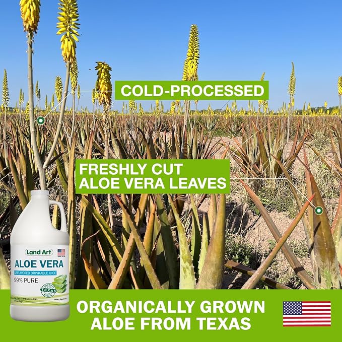 Pure Aloe Vera Juice Unflavored – Cold-Processed - 99.7% Organic Aloe Vera Inner Fillet from Fresh Texas Leaves – Digestive Health, Detox and Natural Wellness – 64 fl oz (Pack of 2)