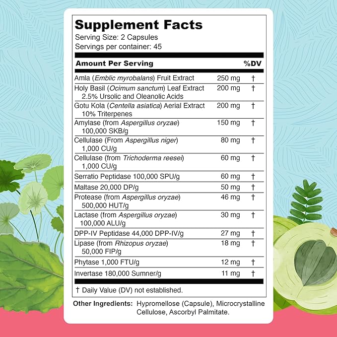 Total Revive+ Digestive Enzymes - Broad-Spectrum Enzymes for Digestive Health - Supports Gut Health and Nutrient Absorption - Physician Formulated - 90 Capsules
