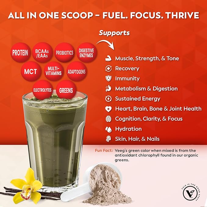 Veeg All-in-One Protein Smoothie Powder - Plant Based Protein Powder, Superfoods, Organic Greens, MCT Oil, Probiotics, Multivitamins for Men & Women, Sugar-Free, 15 Servings (Vanilla)
