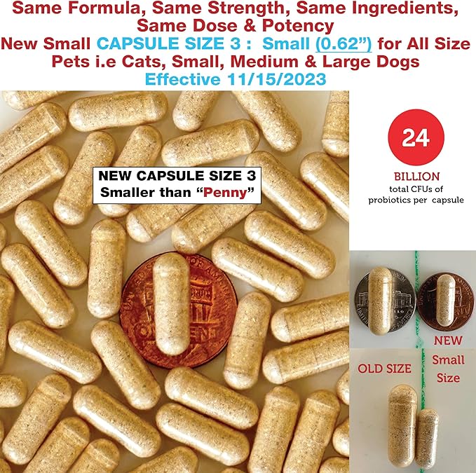 Azovast Plus Kidney Health Supplement for Dogs & Cats, 360ct - NO Refrigeration Required - Help Support Kidney Function & Manage Renal Toxins - Renal Care Supplement Capsule(U.S.A)(360 Caps)