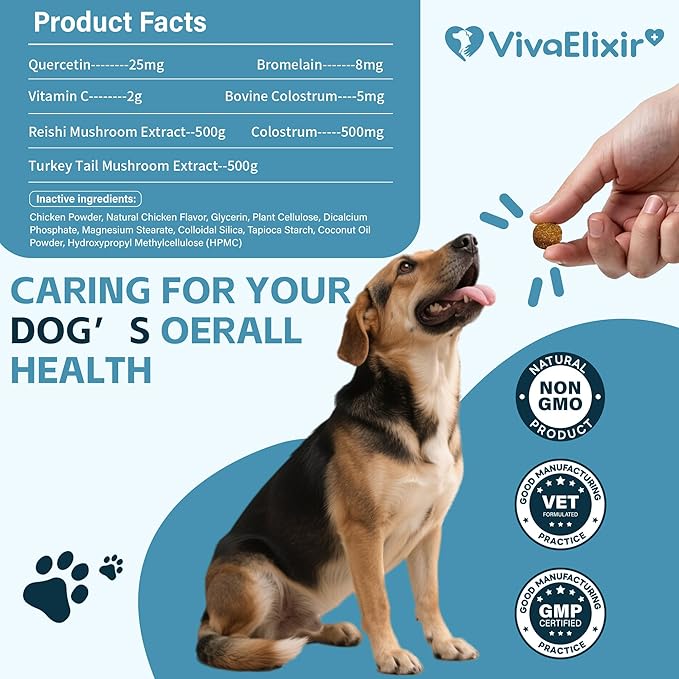 Nutrition Strength Quercetin for Dogs with Bromelain to Support Balanced Immune System, Promote Inflammatory Relief & Antioxidant Activity, Quercetin for Dog Allergies, 120 Chewable Tablets