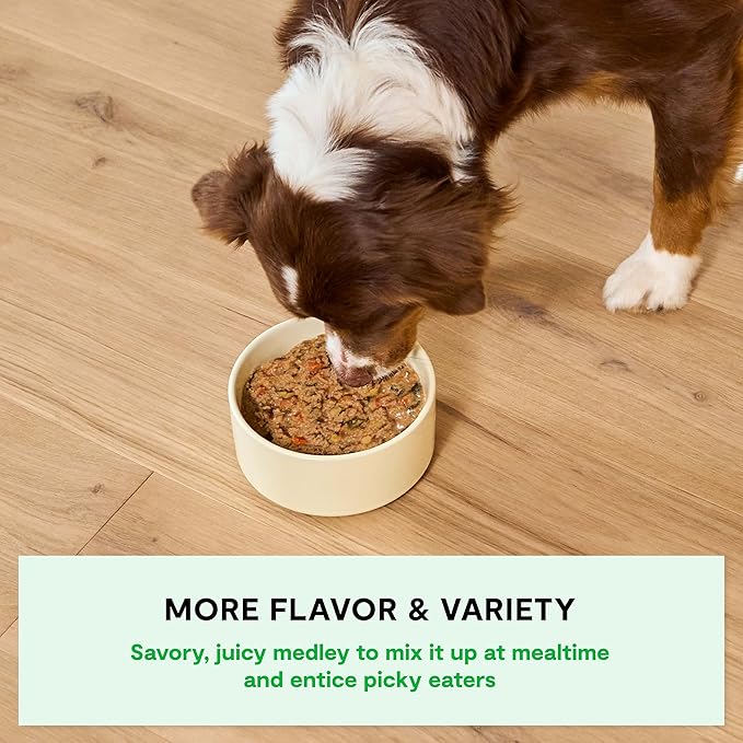 Open Farm Rustic Stews Wet Dog Food, Grain-Free, Complete & Balanced with Human-Grade Ingredients, Humanely-Raised Meat & Bone Broth, Wild-Caught Salmon Recipe, 12.5oz Packs (Case of 12)