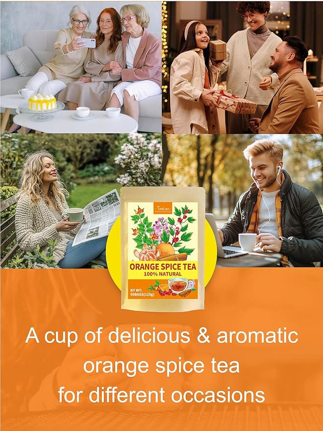 TeeLux Orange Spice Tea, Blended Rosehips with Cinnamon & Hibiscus, Refreshing & Soothing Taste, Caffeine Free, 50 Count