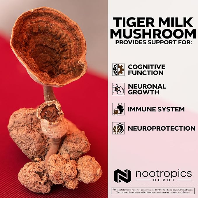 Nootropics Depot Tiger Milk Mushroom Capsules | 300mg | 180 Count | Lignosus rhinocerus Sclerotium | Cognition, Histamine, & Respiratory Support