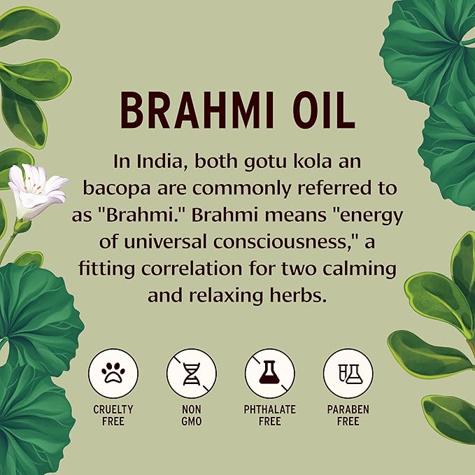 Banyan Botanicals Brahmi Oil in Coconut Base – Organic Ayurvedic Massage Oil with Gotu Kola and Bacopa ­­– Calming Massage Oil for Focus & Relaxation – 14.5 oz NonGMO Sustainably Sourced Abhyanga Oil