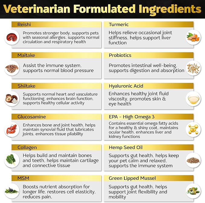 Hip and Joint Chews for Dogs + Skin and Coat Supplement - Dog Joint Pain Relief Treats - Glucosamine, Chondroitin, MSM, Hemp Oil, Turmeric, Omega 3 for Dogs, Mobility Dog Health Supplies