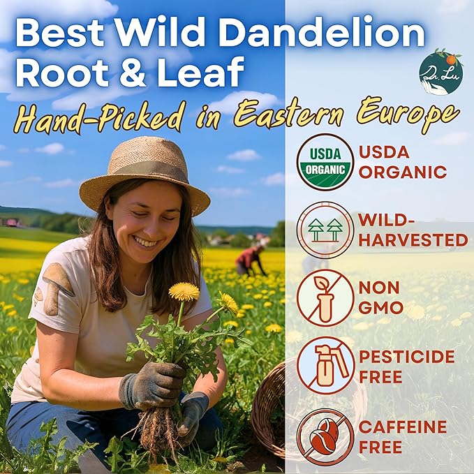 Dr. Lu’s Organic Dandelion Root & Leaf Tea | Wild-Harvested in Eastern Europe | 100% Natural Liver & Detox Support | 30 x 3g High-Intensity Brew Corn Fiber Pyramid Bags (No Plastic, No Nylon)