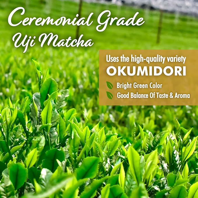 YAMASAN KYOTO UJI Japanese Oat Milk Matcha Latte, Uji Matcha Ceremonial Grade with Oat Milk Instant Latte Mix, Dairy-Free, 100% Plant Based, Vegan, Gluten-Free, No Refined Sugar, Made in Japan 3.5OZ(100g)