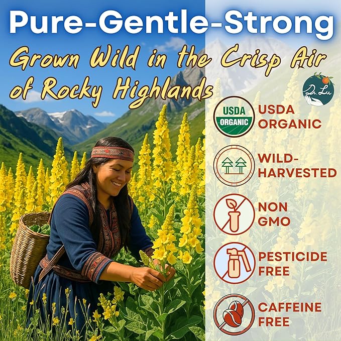 Dr. Lu’s Organic Mullein Leaf Tea | High-Altitude Grown in the Rocky Mountains | Pure Botanical Respiratory Support | 30 x 3g Premium Fill Corn Fiber Pyramid Bags (No Plastic, No Nylon)