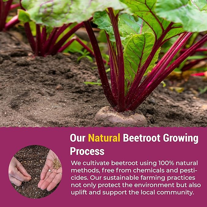 eHerbal 100% Plant Based Pure Freeze Dried Beet Root Powder 20 Packs | Beet Juice for High Blood Pressure, Nitric Oxide Booster, Boost Clean Energy Drink Mix, Non-GMO, Convenience to Use | (5g/Stick)
