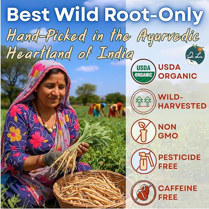 Dr. Lu Organic Turmeric Ginger Cinnamon Tea | Tropical Wild Roots & Bark from South Asia | 100% Natural Digestive & Warming Support | 30 x 3g Potent Root Blend Corn Fiber Pyramid Bags (No Plastic, No Nylon) (30 Count (Pack of 1), Ashwagandha)