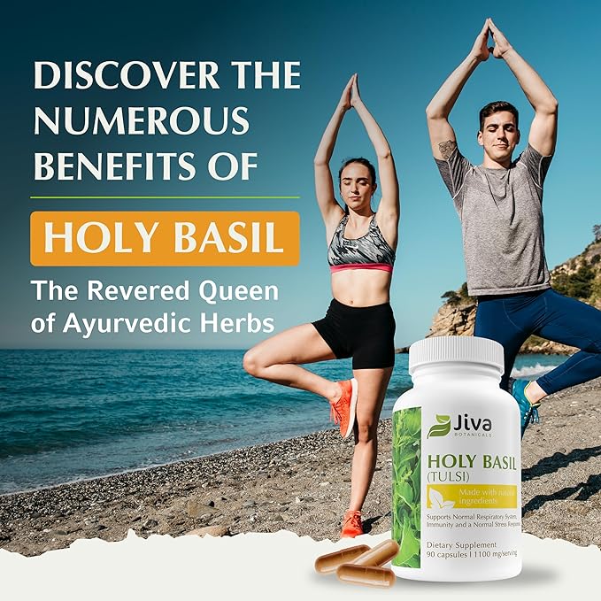 Jiva Botanicals Holy Basil Capsules - Premium Holy Basil Extract with Tulsi Powder - Ayurvedic Herb Alternative to Tincture -90 Vegan Capsules
